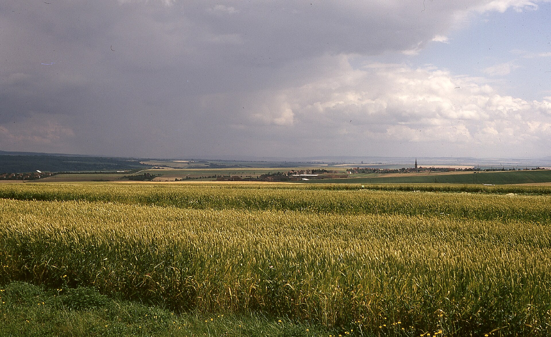 Landwirt mit Traktor auf einer europäischen Ackerfläche